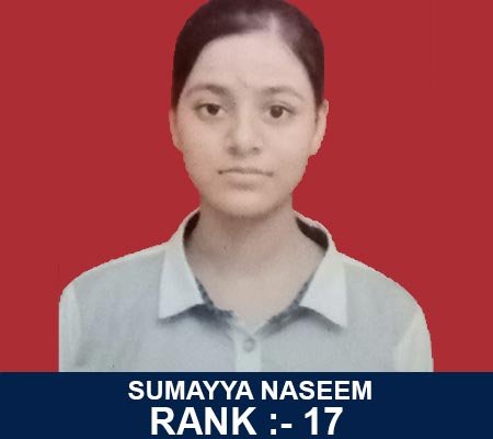 Modulation Expat Team Gallery 